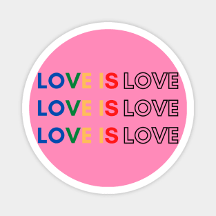 love is love Magnet